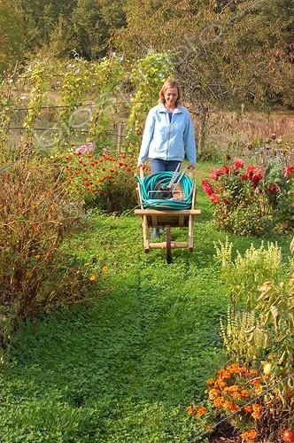 Biosphoto | 45936 | Femme remisant matériel d'arrosage pour l'hiver en octobre | &copy; NouN / Biosphoto