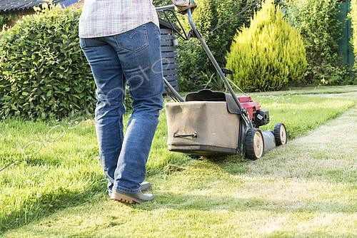 Biosphoto | 2148596 | Femme tondant une pelouse, été, Pas de Calais, France | &copy; Yann Avril / Biosphoto
