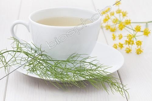 Biosphoto | 1255189 | Fenel infusion and leaves | &copy; Frédérique Bidault / Biosphoto