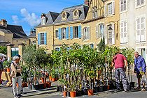 Biosphoto | 2575186 | Fête des jardins et des cours dans la cité Plantagenet ou Le vieux Mans, Sarthe, France | &copy; Michel Gile / Biosphoto