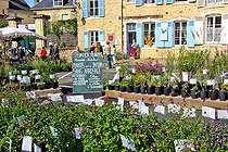 Biosphoto | 2575187 | Fête des jardins et des cours dans la cité Plantagenet or Le vieux Mans, Sarthe, France | &copy; Michel Gile / Biosphoto