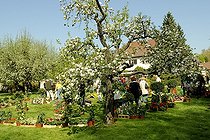 Biosphoto | 1233398 | Fête des plantes au Parc de Schoppenwihr en Alsace | &copy; Claude Thouvenin / Biosphoto