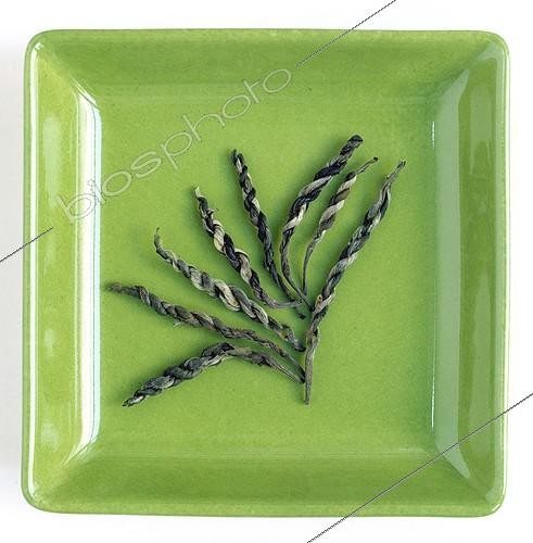 Biosphoto | 20380 | Feuilles d'Aiguille de Jade Thé blanc de Chine ; page 148 du livre | &copy; Sophie Boussahba / Biosphoto