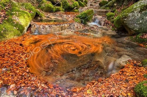 Biosphoto | 2025939 | Feuilles mortes tournoyant dans une rivière - Bauges France | &copy; Rémi Masson / Biosphoto