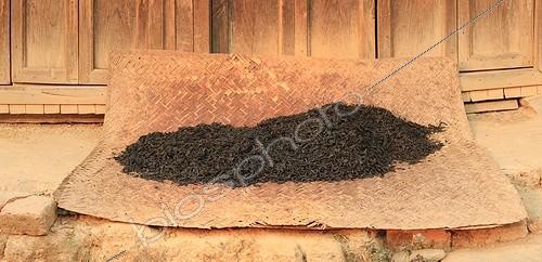 Biosphoto | 1136603 | Feuillle Tea drying in the sun on a bamboo mat Burma ; Black tea  | &copy; Antoine Boureau / Biosphoto