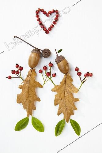 Biosphoto | 2542057 | Figures d'automne créatives | &copy; Visions Pictures / Biosphoto