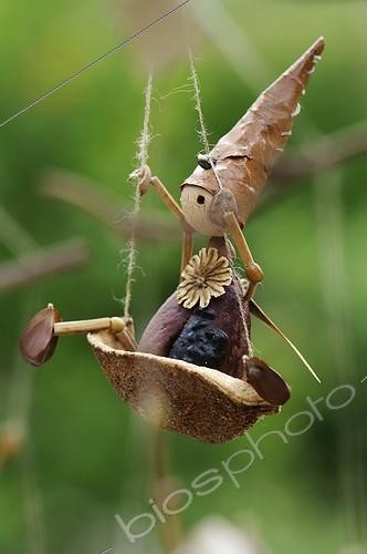 Biosphoto | 1854494 | Figurines and plant the puppets Drolipathes France ; The Chaudronnette of Marie - Marie Meige  | &copy; Denis Bringard / Biosphoto