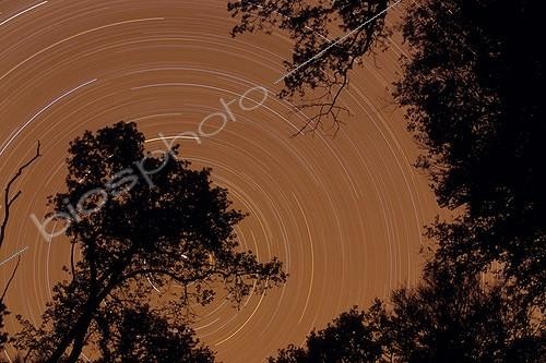 Biosphoto | 151676 | Filé d'étoiles en forêt Vallée du Doubs France | &copy; Florent Cardinaux  / Biosphoto