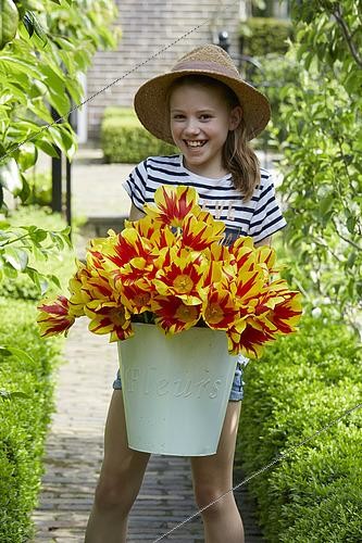 Biosphoto | 2536497 | Fille portant un seau de tulipes | &copy; Visions Pictures / Biosphoto