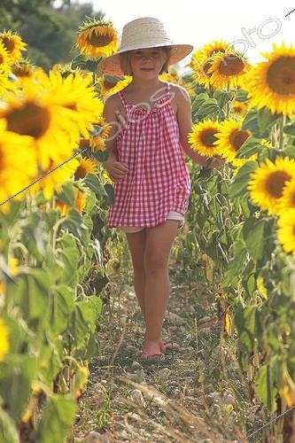 Biosphoto | 1925248 | Fillette dans un champ de Tournesols en fleurs - France | &copy; Eric Guilloret / Biosphoto