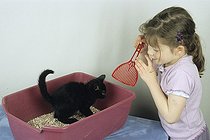 Biosphoto | 61515 | Fillette et chaton de gouttière dans sa litière | &copy; Régis Cavignaux / Biosphoto