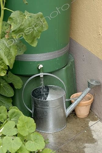 Biosphoto | 125748 | Filling of the watering-can with retrieved rainwater France | &copy; Denis Bringard / Biosphoto