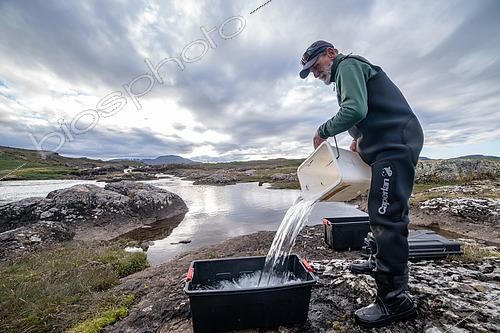Biosphoto | 2606308 | Filling the anesthetic tank. Preparing the trout marking workshop. Irish Bay, Kerguelen Archipelago. | &copy; Armand Patoir / Biosphoto