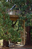 Biosphoto | 1251457 | Finnish Kota | &copy; Franck Fouquet / Biosphoto