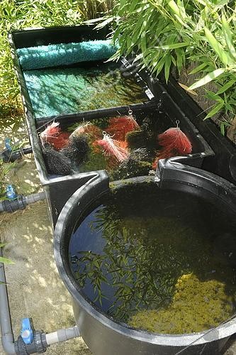 Biosphoto | 2463028 | Fish pond filter | &copy; Aqua Press / Biosphoto