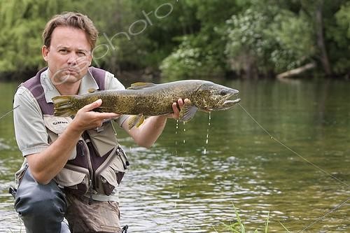 Biosphoto | 591283 | Fisherman catching a Brown trout in Doubs river France | &copy; Bruno Mathieu / Biosphoto