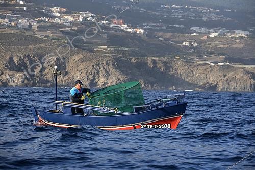 Biosphoto | 2609494 | Fisherman on the north coast of Tenerife. Fishing sector. Shrimp fishing (Plesionika narval) is a professional and artisanal activity carried out from small boats. Traps are placed on the seabed at depths of between 50 and 150 meters, and some fish are caught there. It is practiced year-round, although catches are more abundant in summer. Production is mainly for local consumption. BOAT: El Terror de los Mares. FISHERMAN: Frisco. San Marcos Fishermen's Guild of Icod de los Vinos, Tenerife, Canary Islands. | © Sergio Hanquet / Biosphoto
