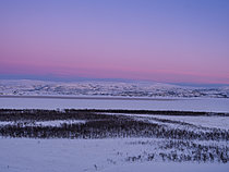 Biosphoto | 2621577 | Fjord gelé de Porsanger pendant l'hiver près de la ville de Lakselv. Europe, Scandinavie, Norvège, Finnmark. | &copy; Martin Zwick / Biosphoto