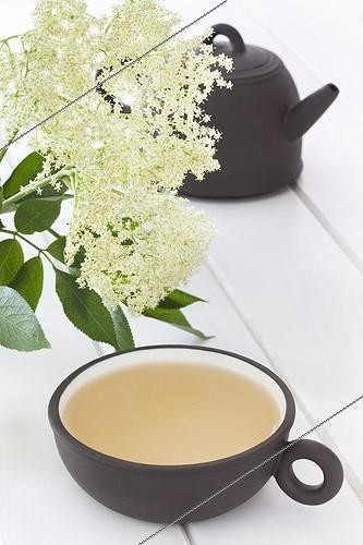 Biosphoto | 1290634 | Fleur de Sureau et Tisane de Sureau dans une tasse noire | &copy; Frédérique Bidault / Biosphoto