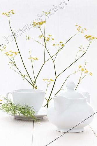 Biosphoto | 1255188 | Fleurs et tisane de Fenouil | &copy; Frédérique Bidault / Biosphoto
