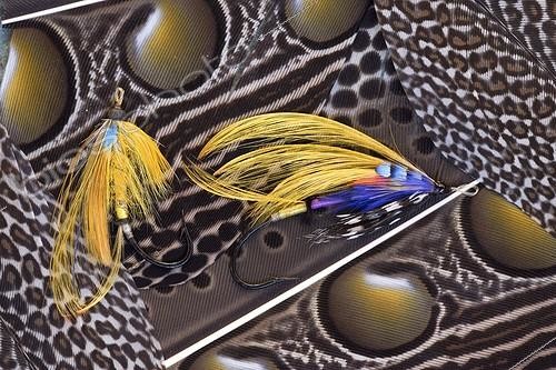 Biosphoto | 572250 | Flies to old salmon, Haut-Rhin | &copy; Bruno Mathieu / Biosphoto