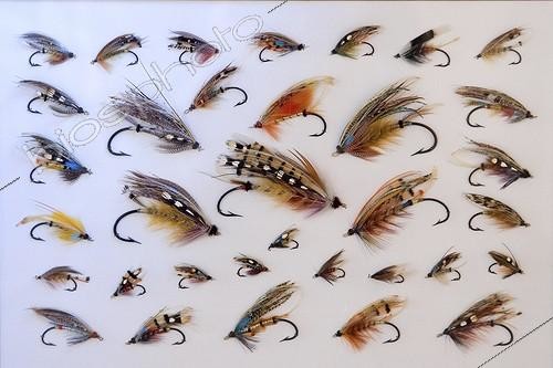 Biosphoto | 572251 | Flies to old salmon, Haut-Rhin | &copy; Bruno Mathieu / Biosphoto