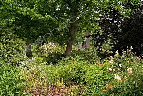 Biosphoto | 853526 | Flower massifs and shrubs in a garden in spring | &copy; Philippe Giraud / Biosphoto