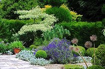 Biosphoto | 943713 | Flowered terrace and dogwood 'Variegata' in a garden | &copy; Frédéric Didillon / Biosphoto