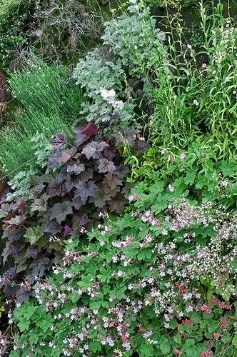 Biosphoto | 589999 | Flowered wall in a garden in spring | &copy; Frédéric Didillon / Biosphoto