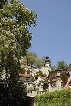 Biosphoto | 1604706 | Flowering horse chestnut trees in a park, Prague, Czech Republic, Europe | © Kevin Proennecke / imageBROKER / Biosphoto