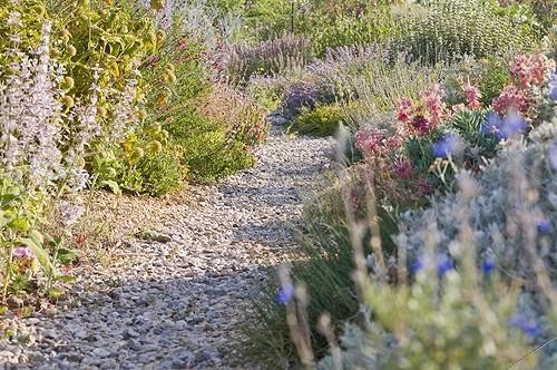 Biosphoto | 2034147 | Flowers in a mediterranean garden | &copy; Marc Chatelain / Biosphoto