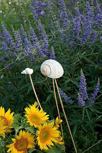 Biosphoto | 892225 | Flowers of Common Sunflower and Chasteberry in summer ; Snails on the top rod tutors | &copy; Philippe Giraud / Biosphoto