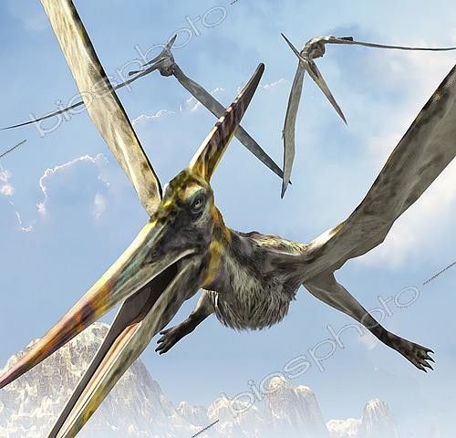 Biosphoto | 2476617 | Flying pterodactyls searching for food. | &copy; Kurt Miller / Stocktrek Images / Biosphoto
