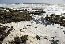 Biosphoto | 1517757 | Foam, pollution, sea, United Kingdom, Europe | &copy; Bernd Tschakert / imageBROKER / Biosphoto