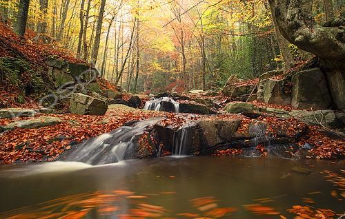 Biosphoto | 2438496 | Fog in the corner of fairies beech in autumn, Montseny, Cataluña, Spain | &copy; David Jerez / Biosphoto