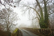 Biosphoto | 2575925 | Fog in the countryside, Roman bridge over the Huisne river, Yvré-l'Evêque, Sarthe, France | &copy; Michel Gile / Biosphoto