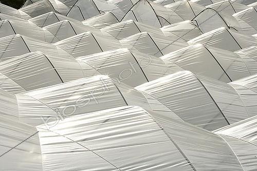 Biosphoto | 1508441 | Foil beds for strawberries, South Tyrol, Italy | &copy; Heiner Heine / imageBROKER / Biosphoto
