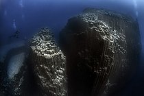 Biosphoto | 2583285 | Fonds sous-marins volcaniques. L'image montre de véritables monts sous-marins, un monument naturel constitué de colonnes basaltiques appelé disjonction colonnaire. Le point le plus élevé se trouve à environ 15 mètres sous la surface de l'océan Atlantique et descend verticalement à plus de 40 mètres en son point le plus profond. L'endroit est connu sous le nom de La Rapadura sur la côte de Santa Úrsula, au nord de l'île de Tenerife. Fonds marins des îles Canaries. | &copy; Sergio Hanquet / Biosphoto