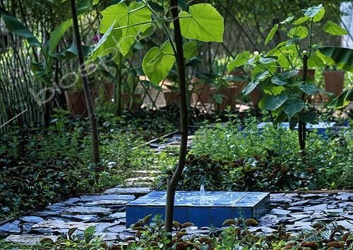 Biosphoto | 997302 | Fontaine dans un jardin à Cordes-sur-Ciel Tarn France ; Paysagistes: Arnaud Maurières & Eric Ossart | &copy; Gilles Le Scanff & Joëlle-Caroline Mayer / Biosphoto
