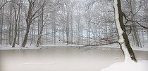 Biosphoto | 2419910 | Forêt et mare enneigées, Parc naturel régional des Vosges du Nord, France | &copy; Michel Rauch / Biosphoto