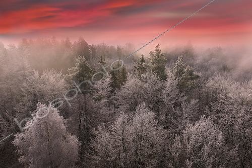 Biosphoto | 2496019 | Forêt givrée des Vosges du Nord, Parc naturel régional des Vosges du Nord, France | &copy; Michel Rauch / Biosphoto
