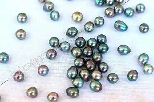 Biosphoto | 2041951 | French Polynesia provenance cultured pearls  ; sold in retail. The beads called  Tahitian black pearls  is an AOC, whose pearly tones vary from green to darker or lighter colors, through the shades pulling purple. | &copy; Laurent Lhoté / Biosphoto