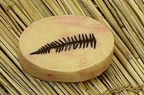 Biosphoto | 1254391 | Fromage de vache au lait pasteurisé affiné au Crémant Alsace | &copy; Denis Bringard / Biosphoto