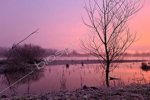 Biosphoto | 2615412 | Frost-covered banks at sunrise on the Loire in winter, Mesves-sur-Loire, Nièvre, France. | &copy; Pierre Vernay / Biosphoto