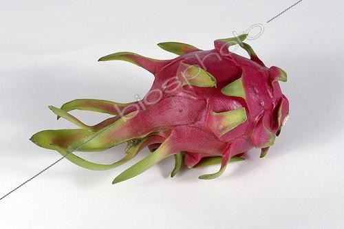 Biosphoto | 26861 | Fruit du dragon du Vietnam en studio | &copy; Jean-Luc & Françoise Ziegler / Biosphoto