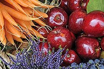 Biosphoto | 1252218 | Fruits et légumes sur un banc de marché | &copy; Dominique Delfino / Biosphoto