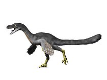 Biosphoto | 2478338 | Fukuivenator paradoxus, theropoda, Early Cretaceous of Japan. | &copy; Nobumichi Tamura / Stocktrek Images / Biosphoto