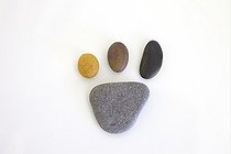 Biosphoto | 1251005 | Galets provenant des plages de l'Atlantique à Anglet France | &copy; Laurent Lhoté / Biosphoto