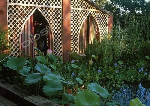 Biosphoto | 699313 | Garden pound at Jardin des Paradis | &copy; Gilles Le Scanff & Joëlle-Caroline Mayer / Biosphoto