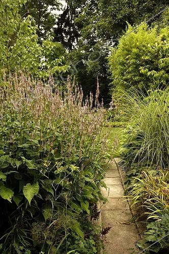 Biosphoto | 640145 | Garden scenery in the 'Jardin des Orchidées' Alsace France | &copy; Claude Thouvenin / Biosphoto